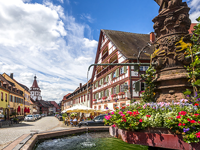 Altstadt Gengenbach Brunnen