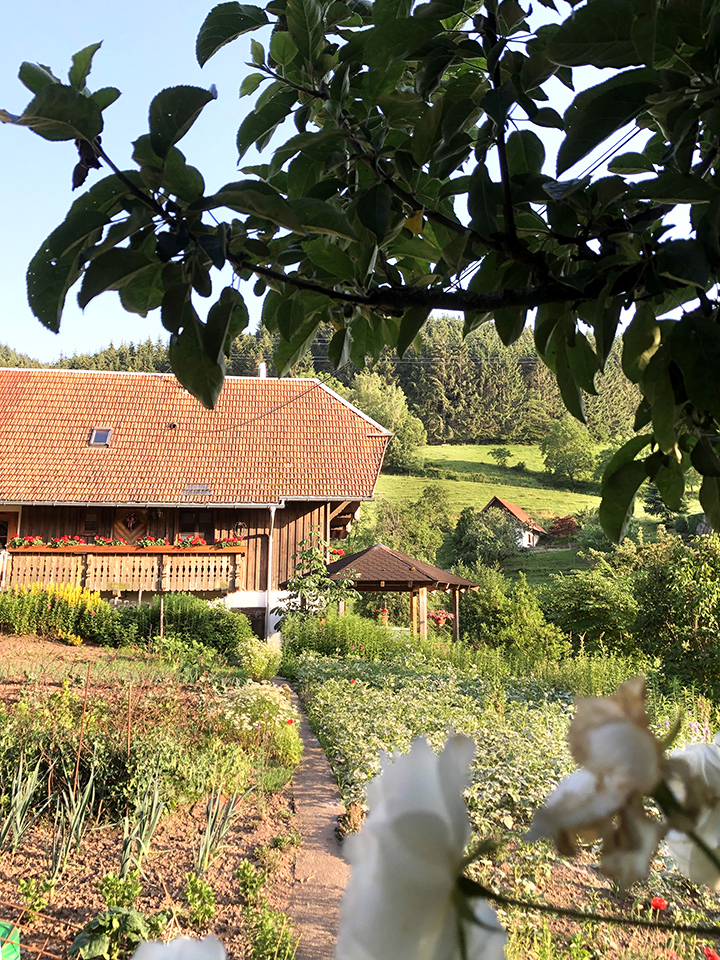 Garten des Jungbauernhofs