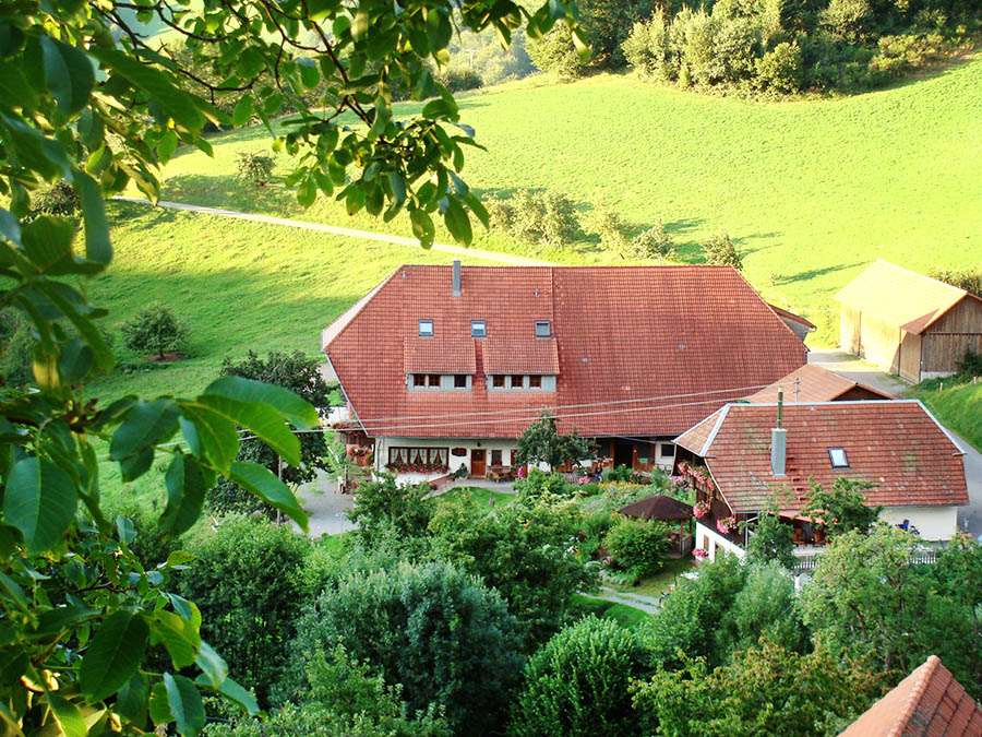 Jungbauernhof von oben Vogelperspektive