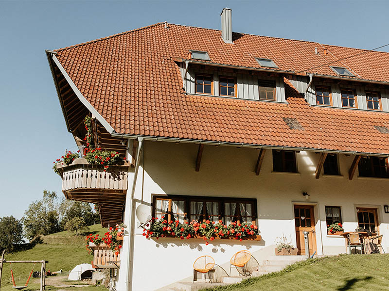 Vater und Sohn im Blumenfeld