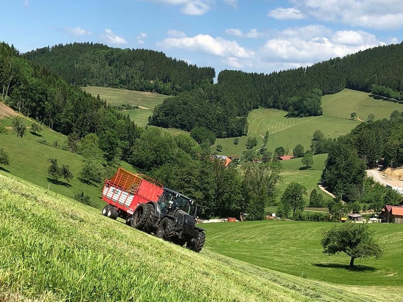 Mähdrescher auf dem Feld erntet Heu